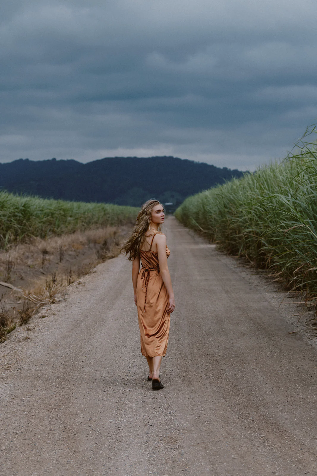 Hendrix Sveta - Bronze - Image 4