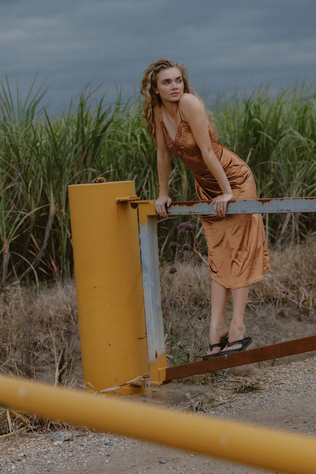 Hendrix Sveta - Bronze - Image 5