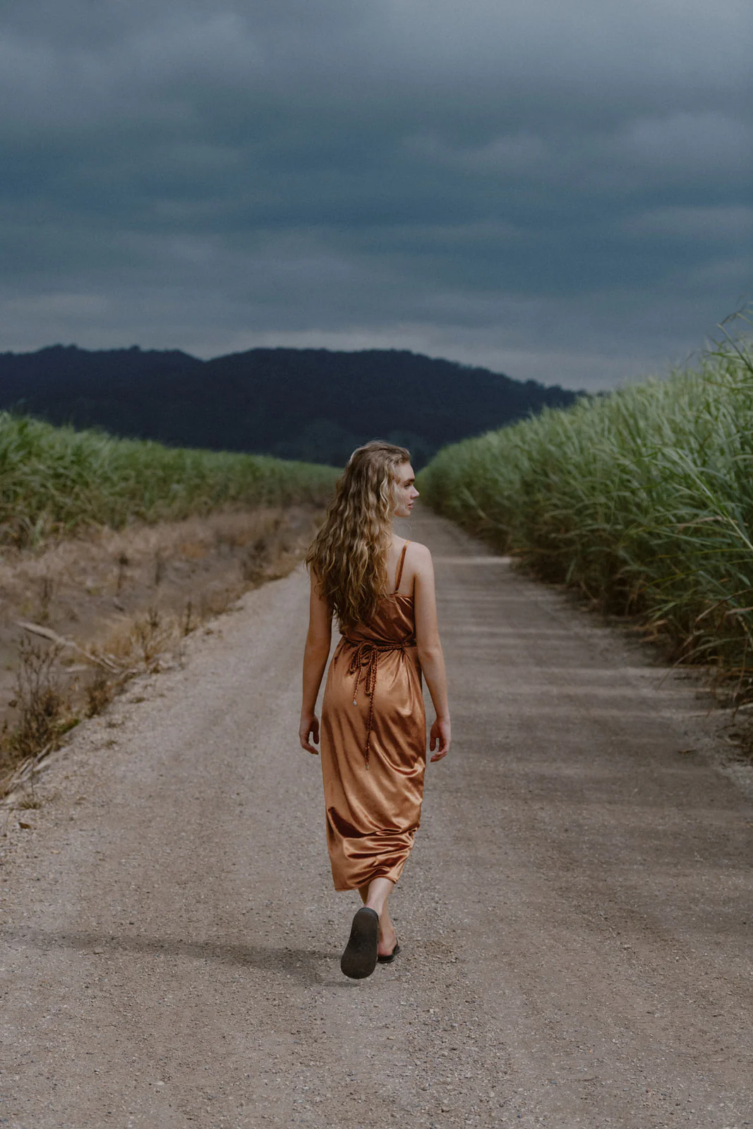 Hendrix Sveta - Bronze - Image 6