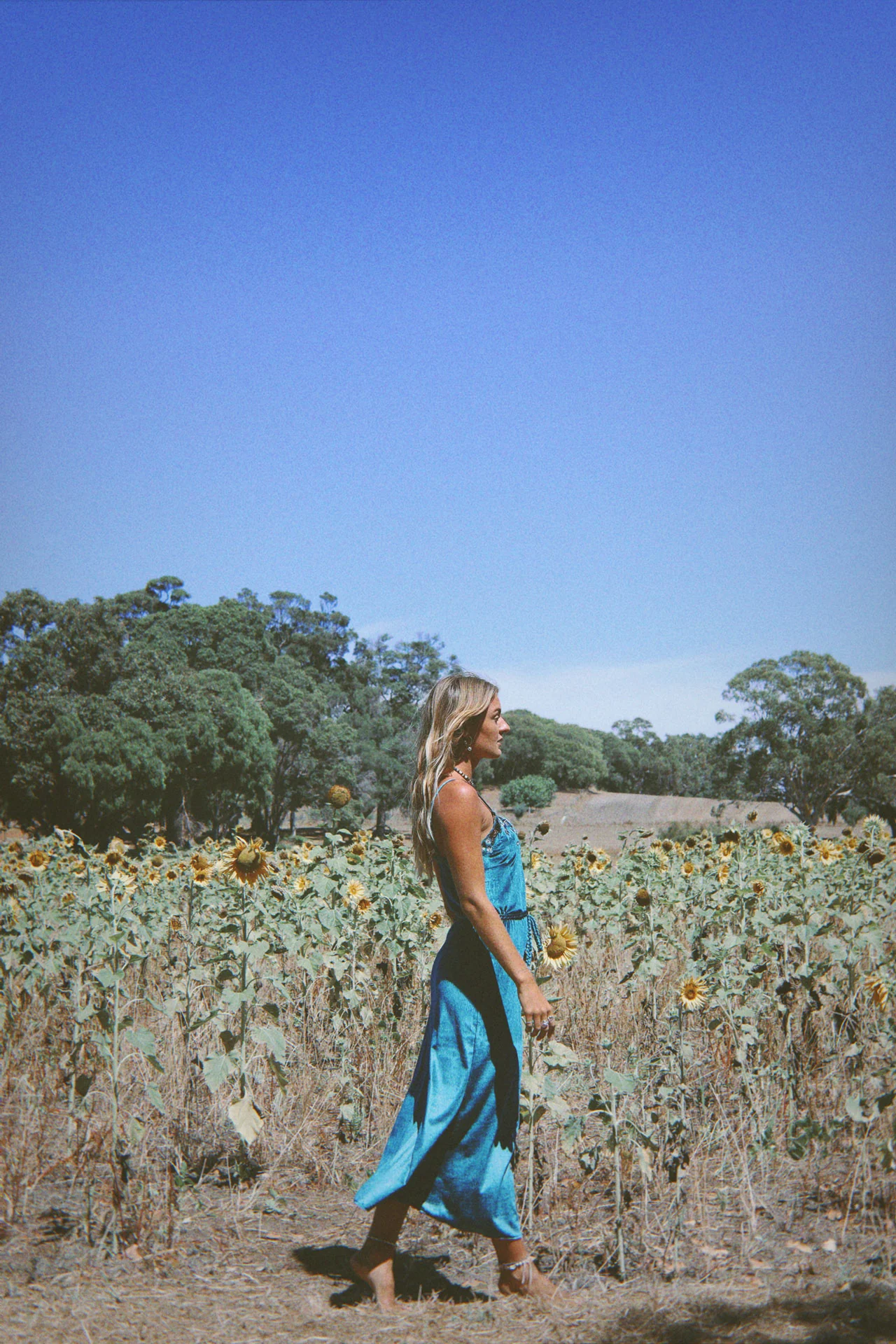 Hendrix Sveta - Teal - Image 4